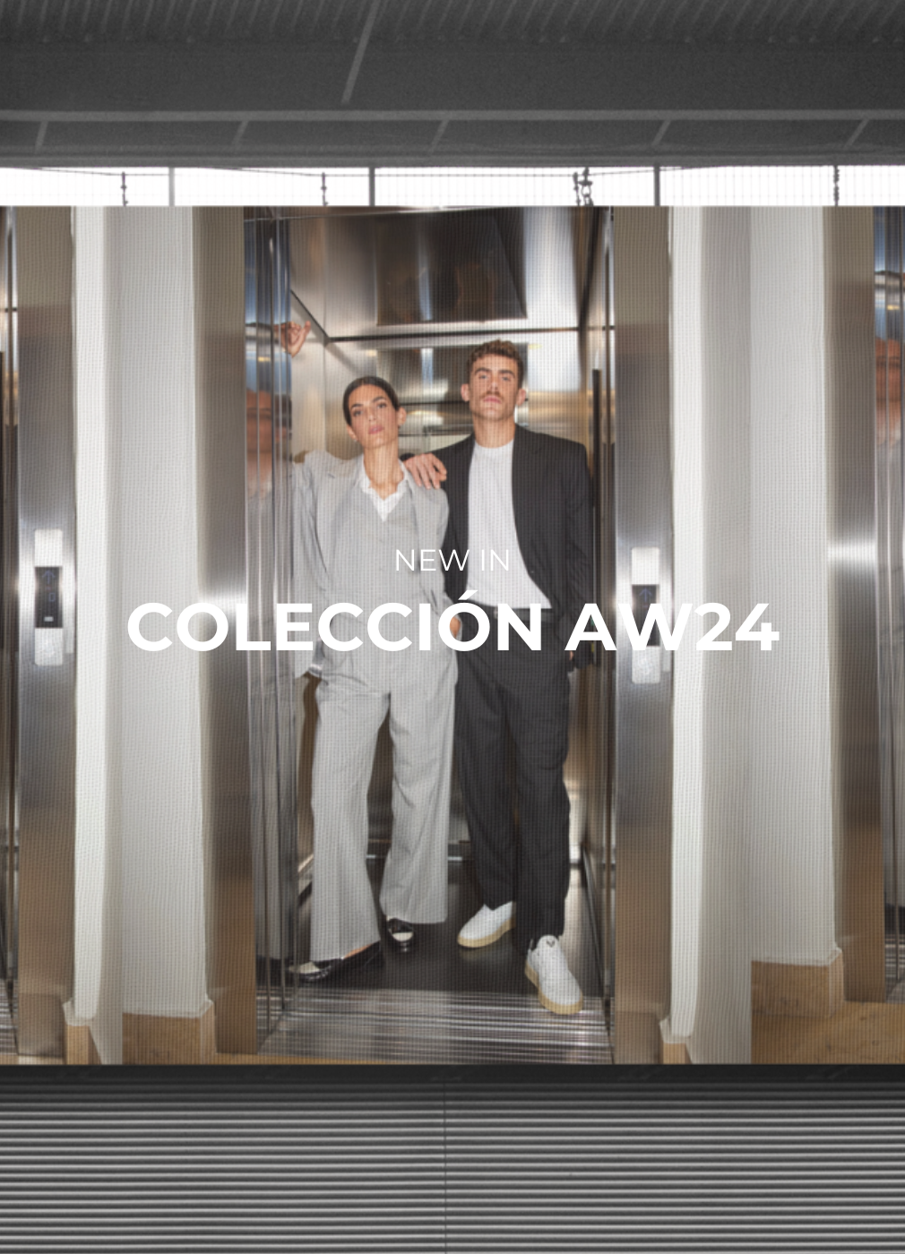 Nueva colección AW24